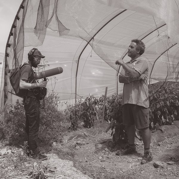 Installazione sonora di Nicola Di Croce e Leandro Pisano