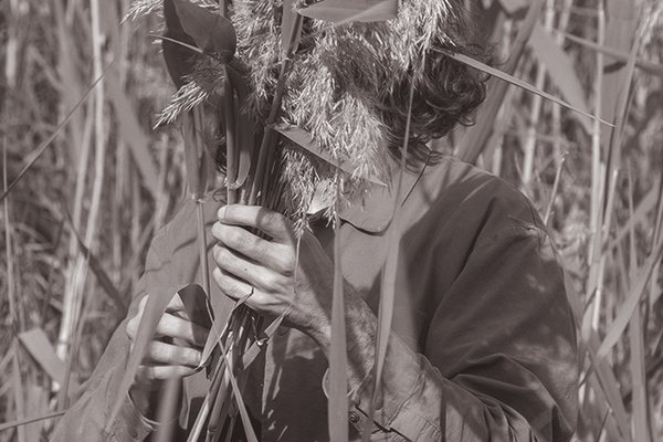 ECOLOGIE SONORE: talk all'intersezione tra musica, scienza e design
