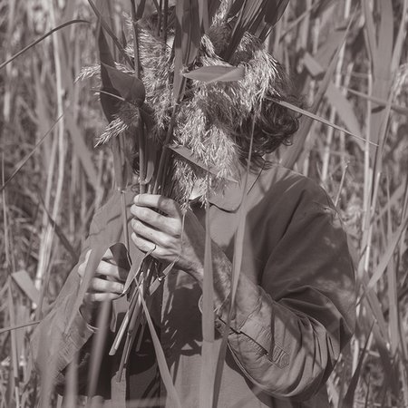 ECOLOGIE SONORE: talk all'intersezione tra musica, scienza e design