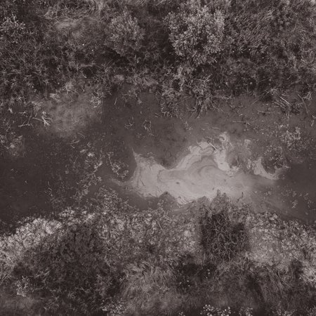 TAVOLA ROTONDA PALUDICOLA