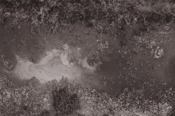 ASSEMBLEA PUBBLICA: appaludare / fare palude