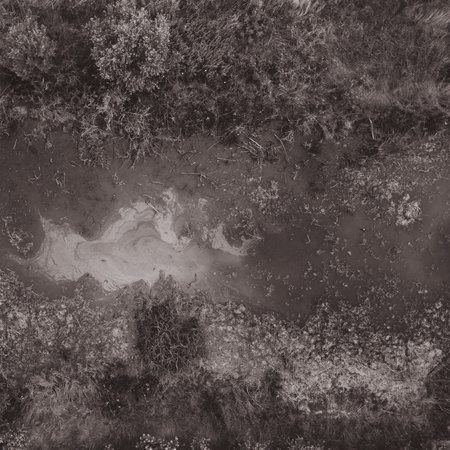 ASSEMBLEA PUBBLICA: appaludare / fare palude