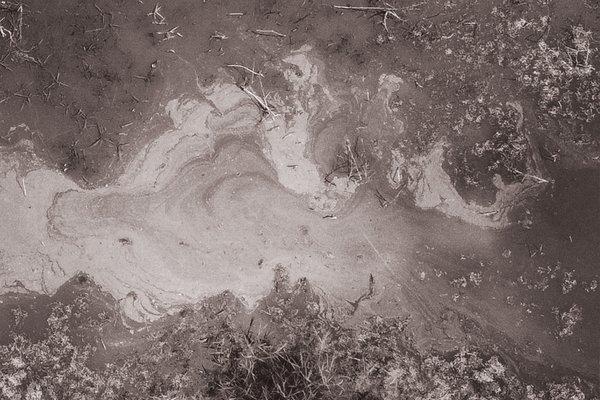 DIALOGO tra Sara Alberani e Adelita Husni-Bey