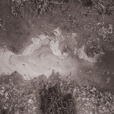 DIALOGO tra Sara Alberani e Adelita Husni-Bey